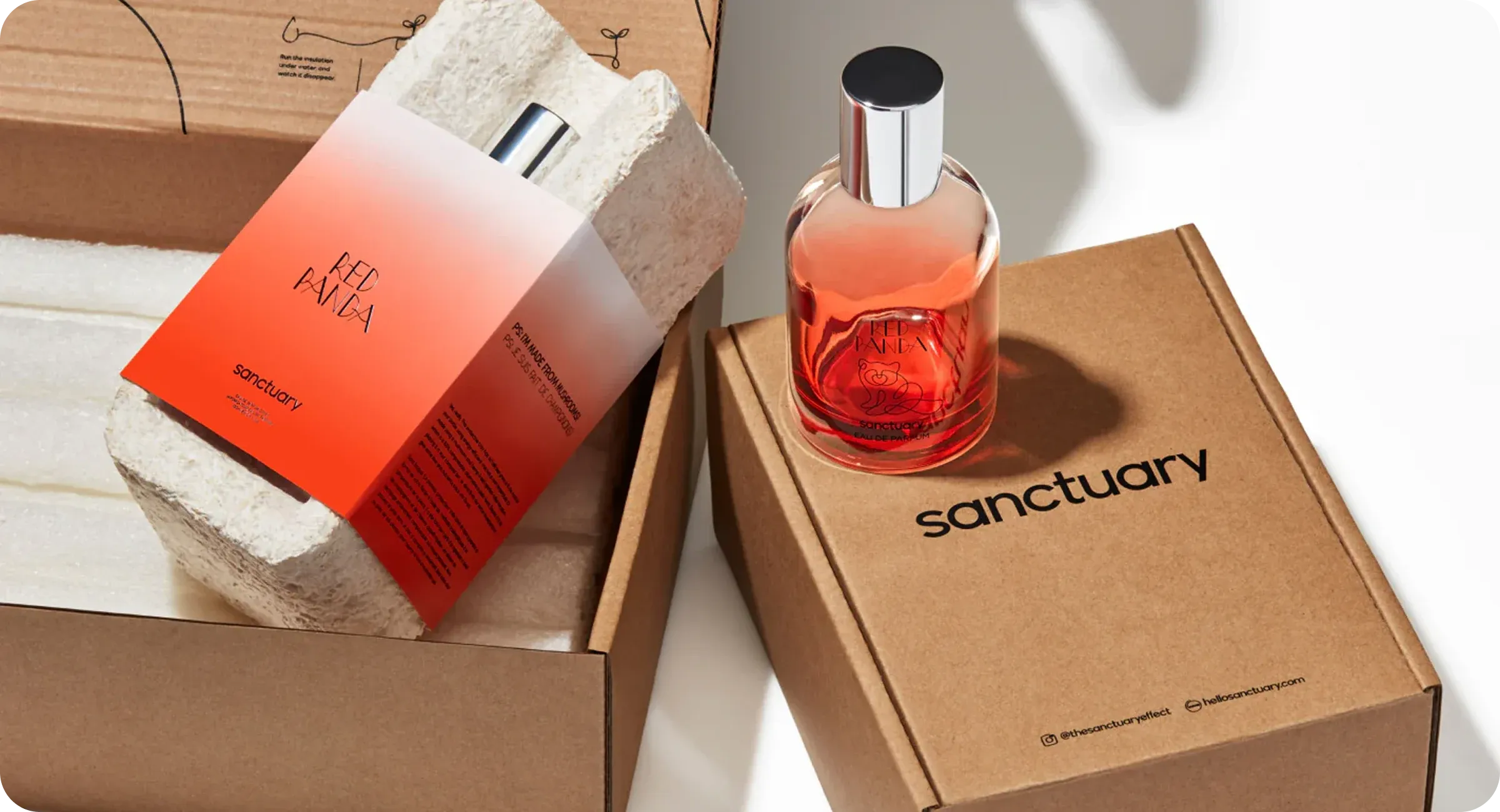 A look at the client