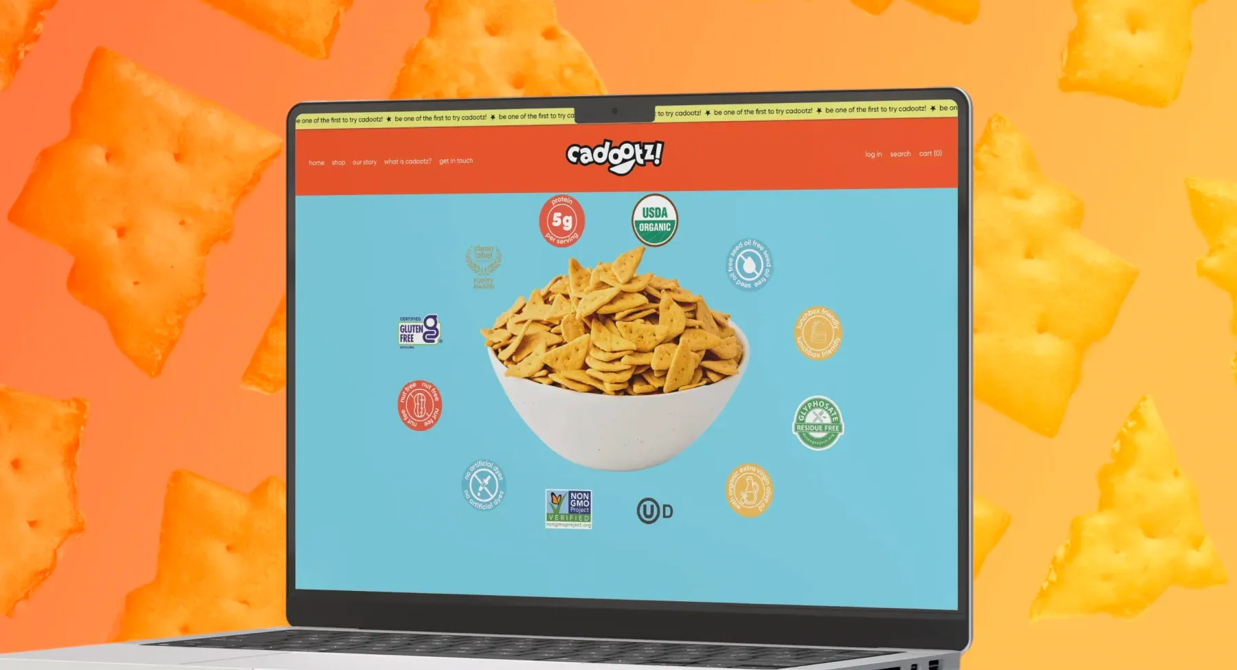 About Cadootz! About Cadootz!