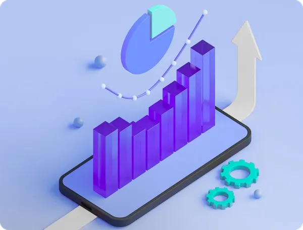 About the product