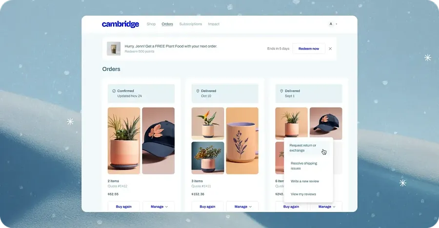 Customer account extensions