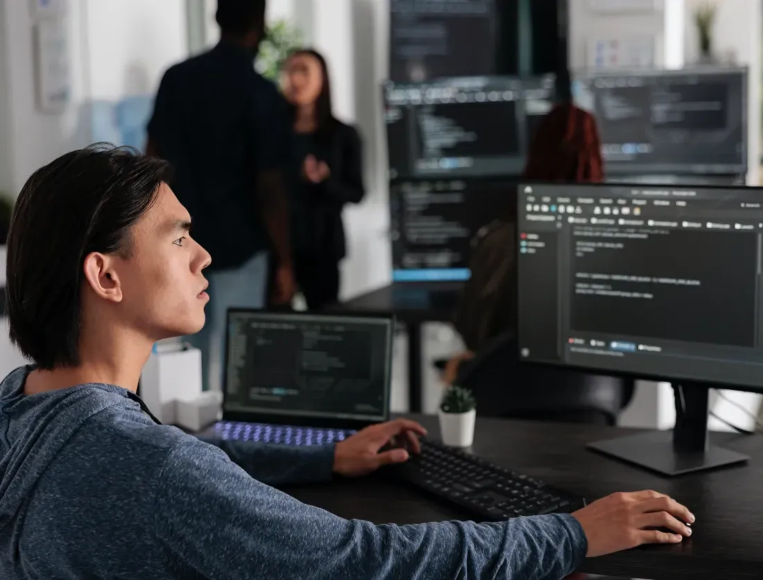 Dive deeper into enterprise software and web development services