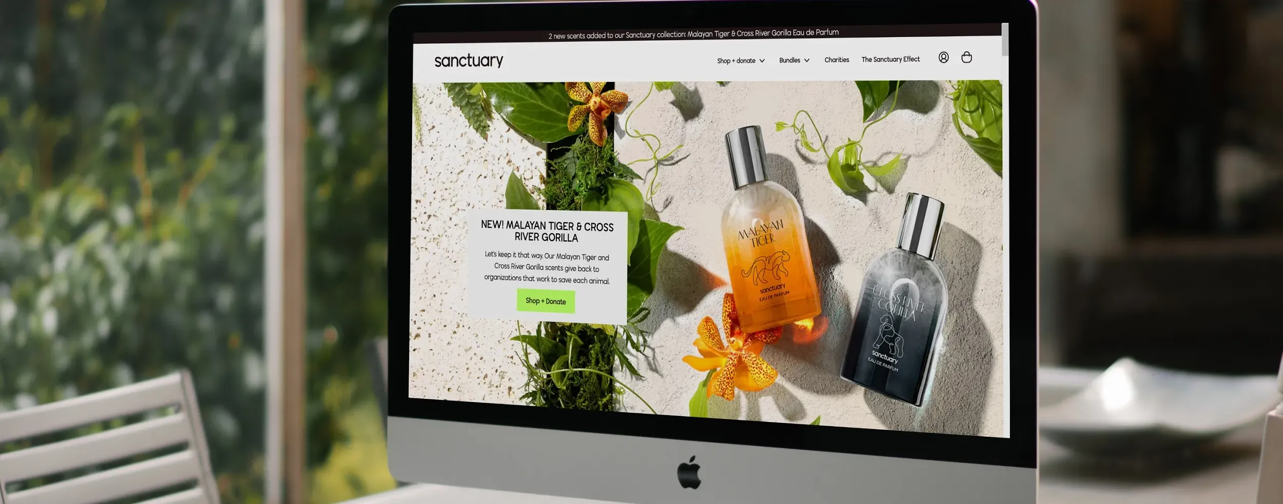 Shopify Plus For Your E-Commerce Needs