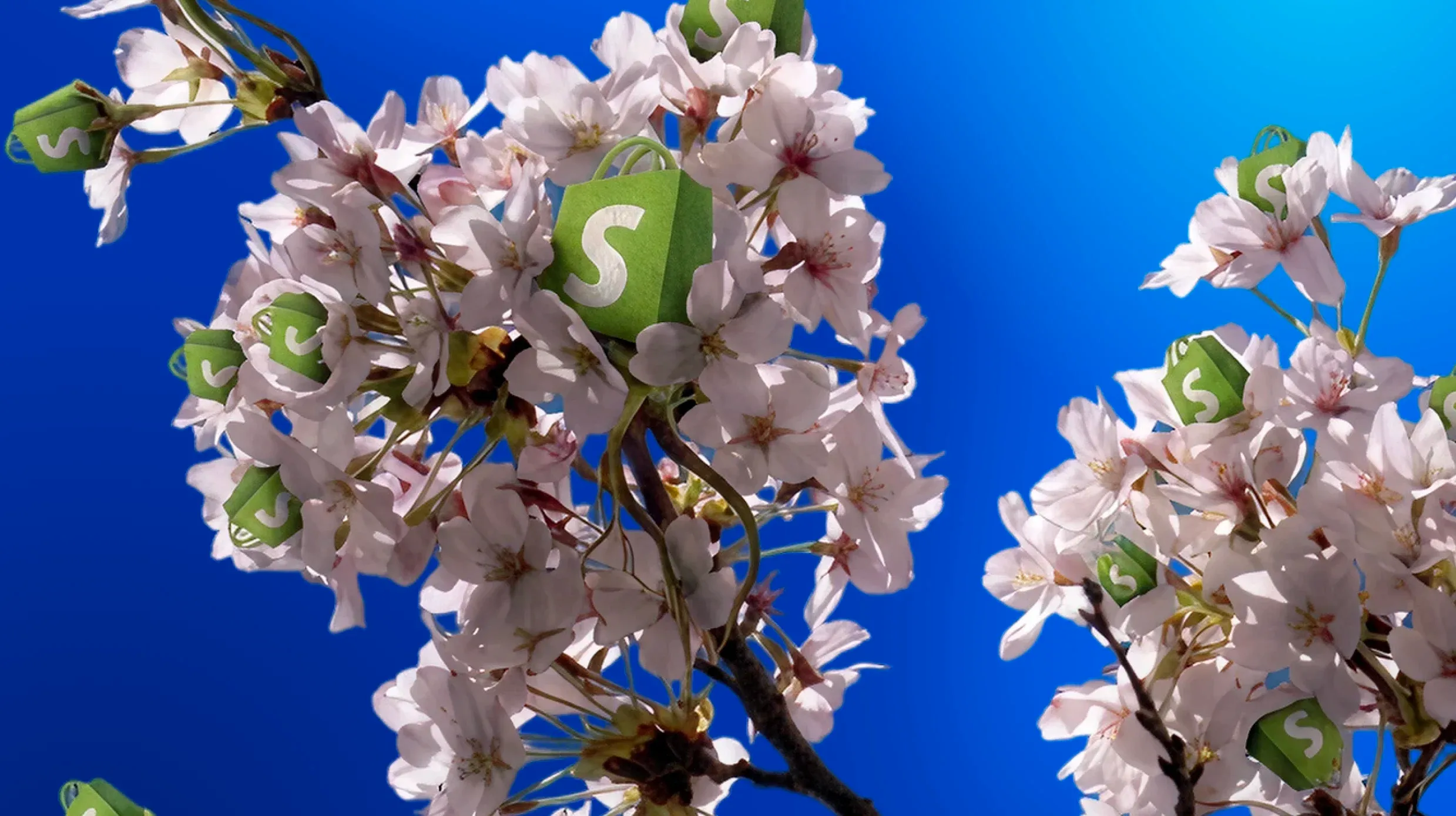 Shopify Updates April 2026