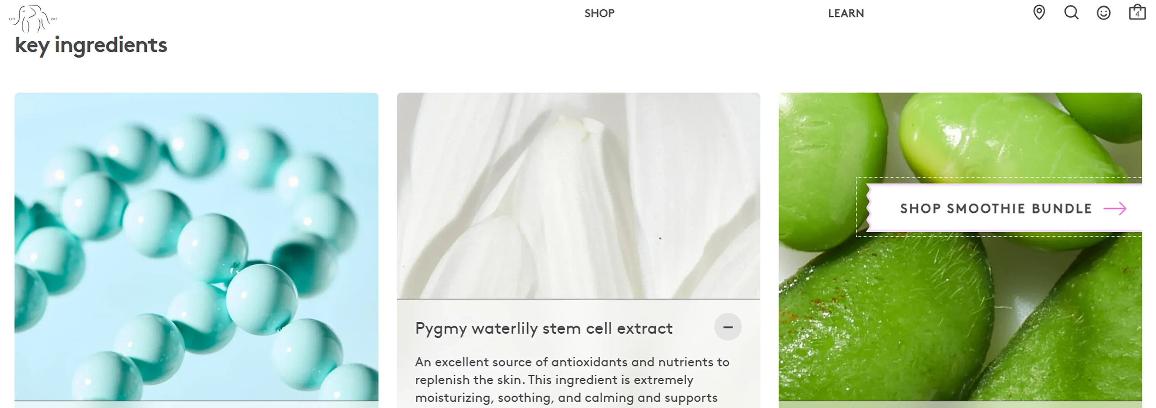 Key product ingredients on PDP