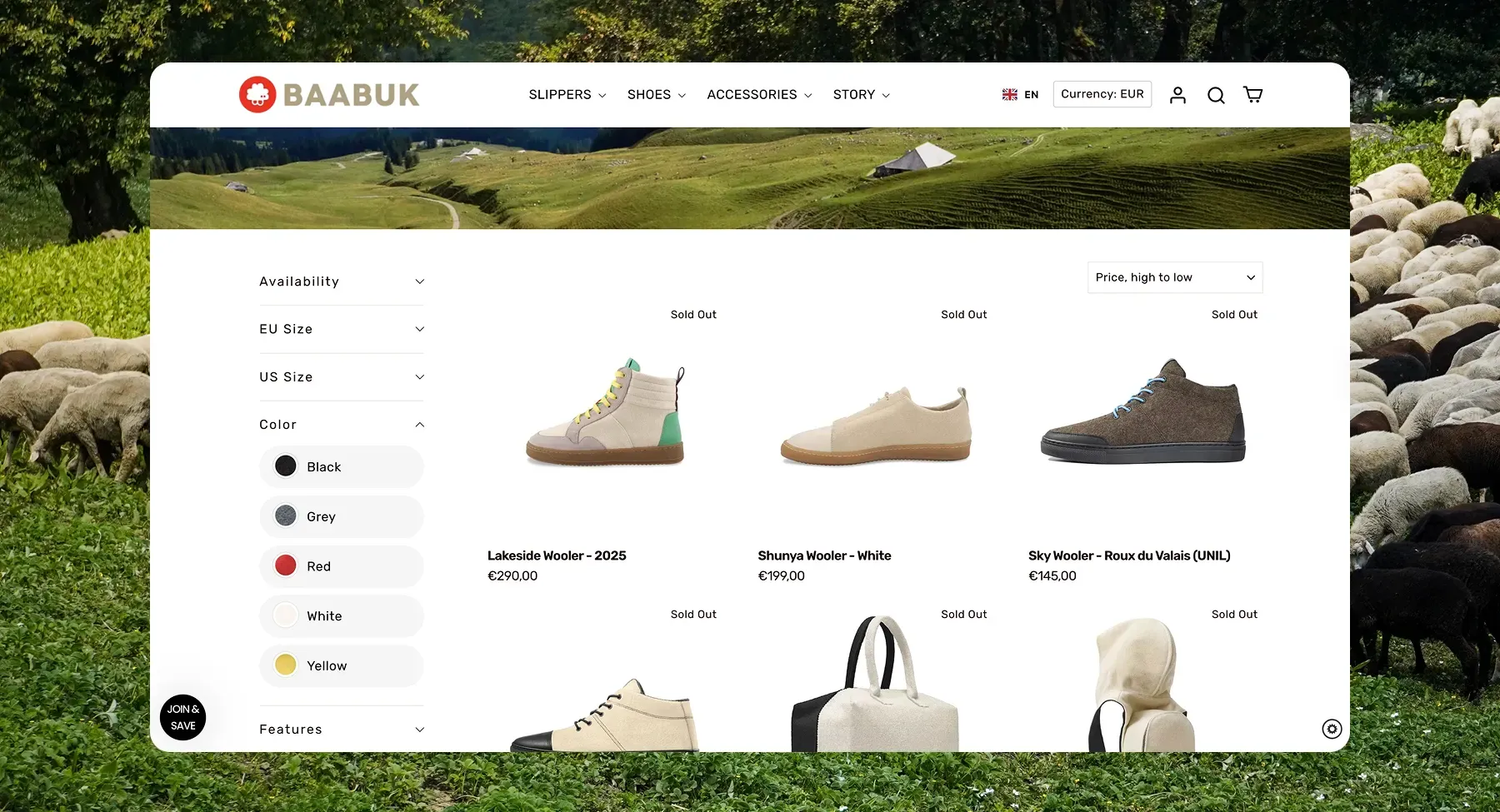 Our Shopify consulting services