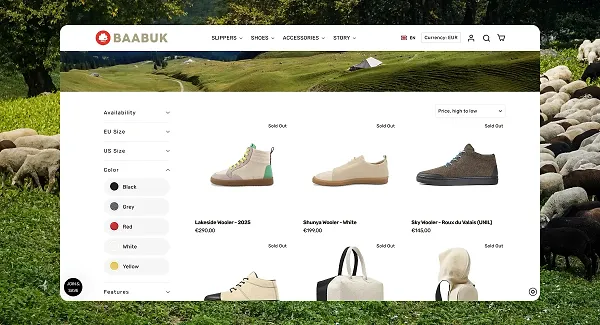 Our Shopify consulting services