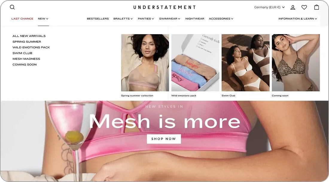 Our solution Shopify Plus development case