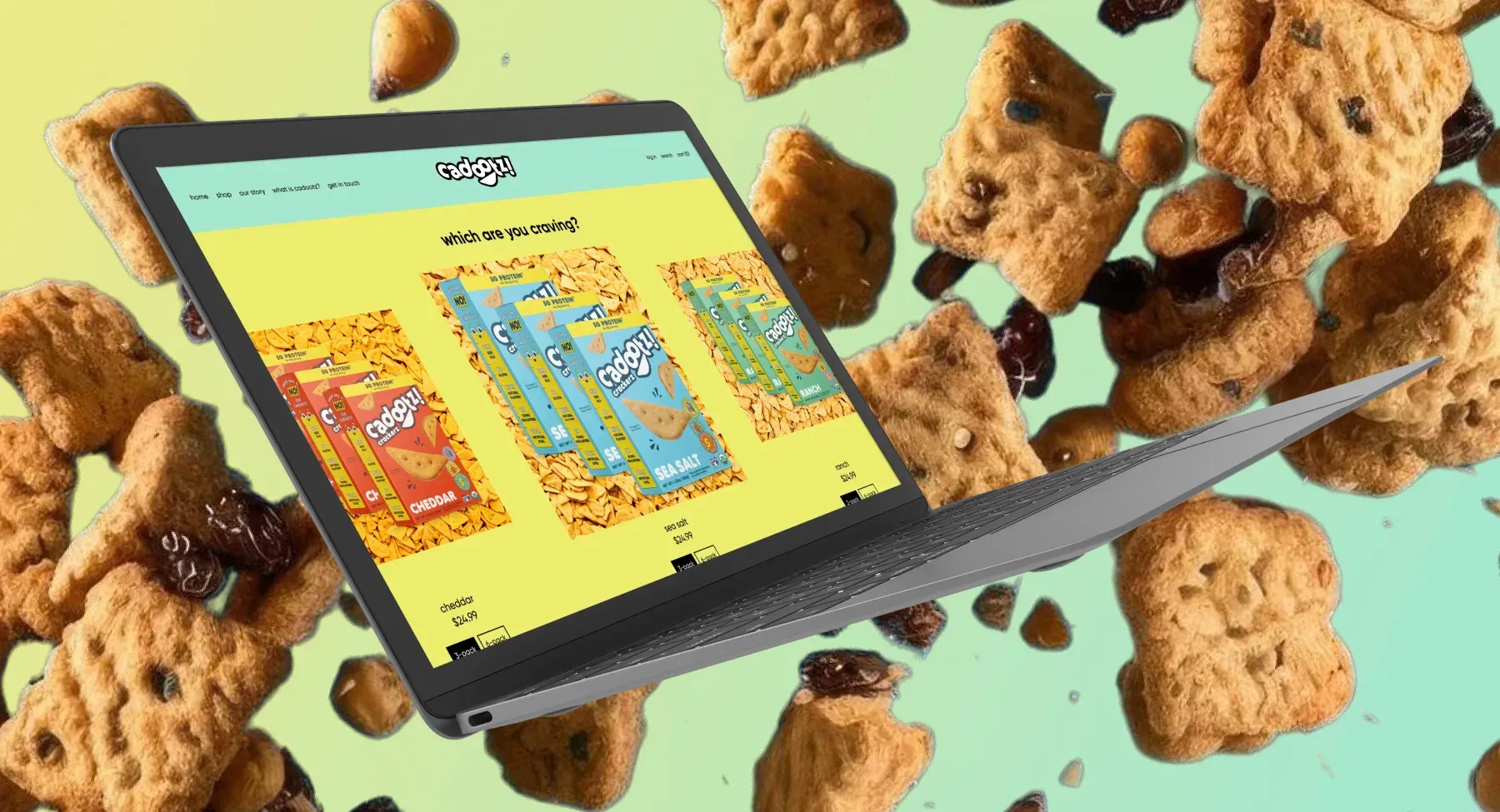 Our solutions for Cadootz Our solutions for Cadootz