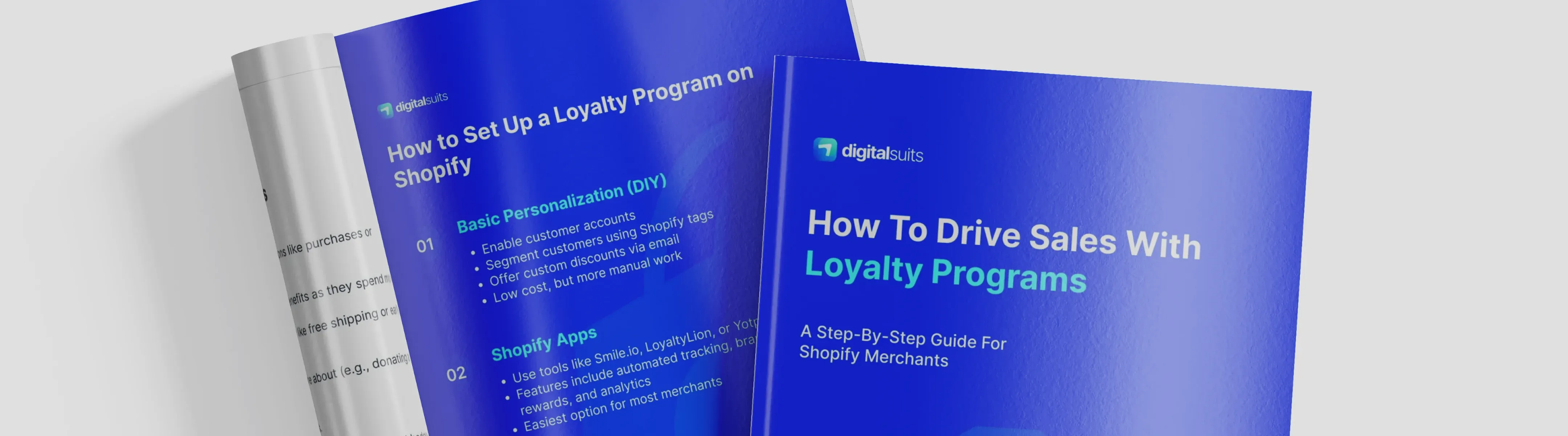 Shopify loyalty program essentials
