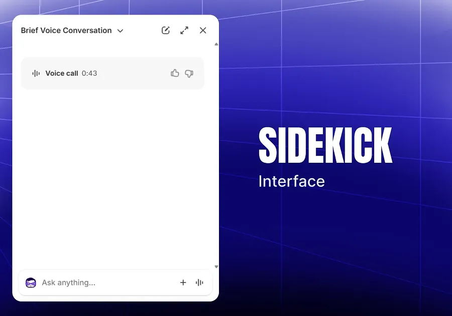 Sidekick interface