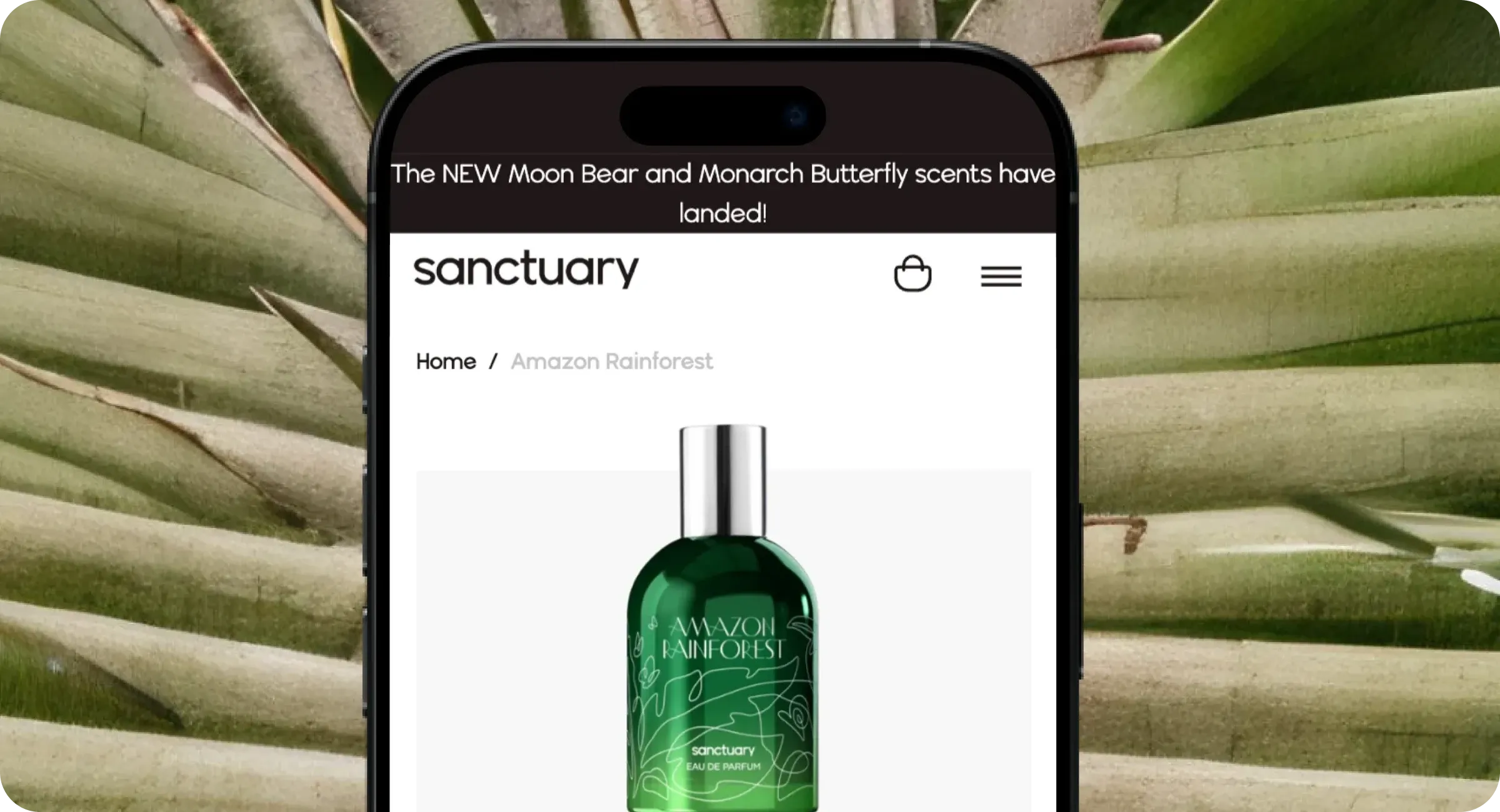 The client's challenge