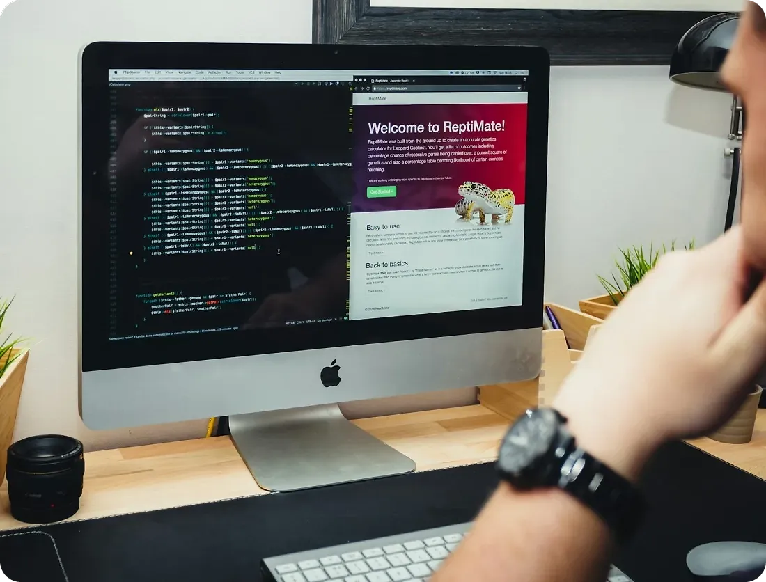 Web app development services 