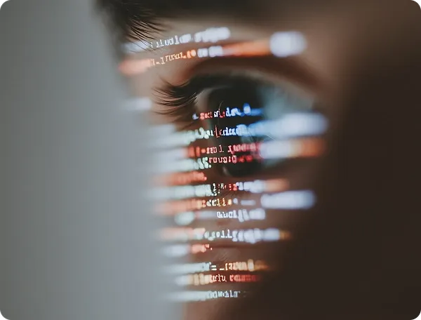 Web development services for your businesses