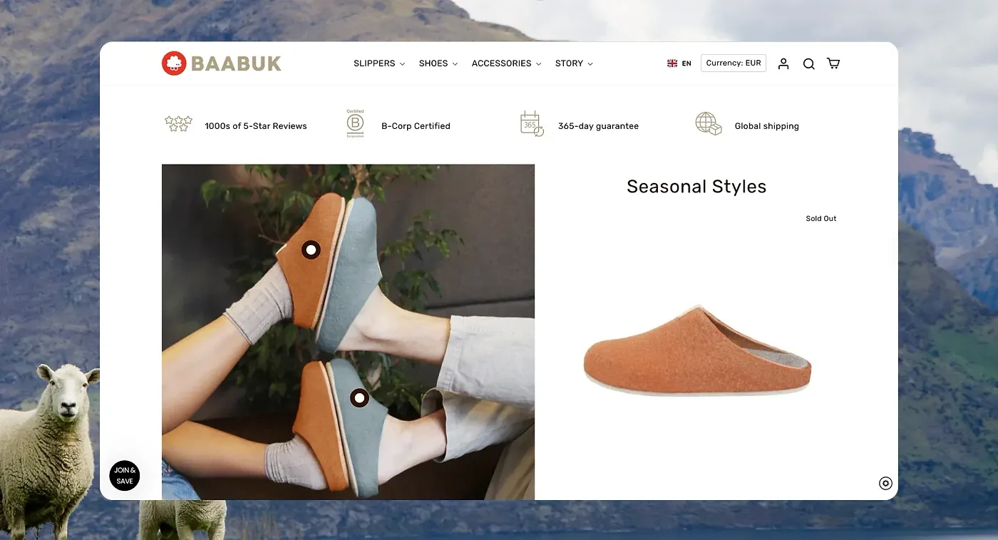 What we delivered and achieved in this Shopify theme redesign case